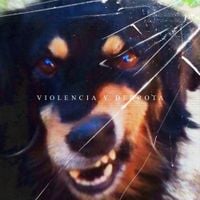 Cuando El Problema No Existe - Violencia y derrota