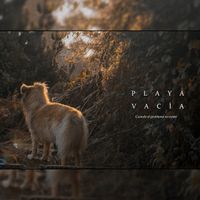 Cuando El Problema No Existe - Playa vac&iacute;a