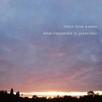Tokyo Blue Weeps - what happened in yesterday