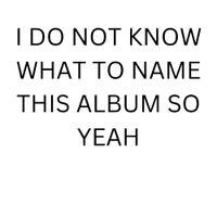Avid Koko - I Do Not Know What To Name This Album So Yeah