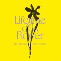 石橋英子 [Eiko Ishibashi] - Lifetime of a Flower