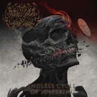 A Pretext To Human Suffering - Endless Cycle of Suffering