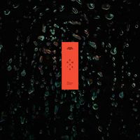 Tom Finster - Year of I (Remixes)
