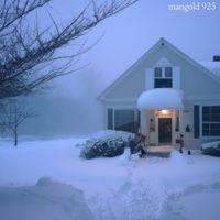 marigold 925 - Marigold