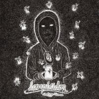 Santiago Insane - Lamp&iacute;ridos
