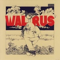 Walrus - Walrus