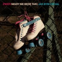 Zwidy - Nigdy nie będę taki, jak bym chciał