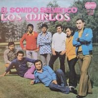 Los Mirlos - El Sonido Selv&aacute;tico