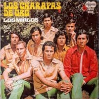 Los Mirlos - Los Charapas De Oro