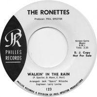 The Ronettes - Walking in the Rain