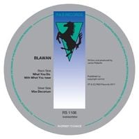 Blawan - What You Do With What You Have / Vibe Decorium