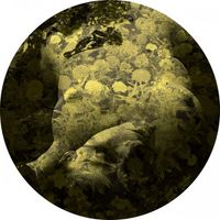 Salva - Yellobone EP