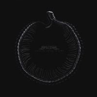 Sylosis - A Sign of Things To Come