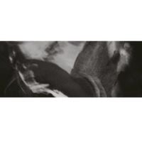 Heith - Silence Will Expire