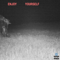 kamii03 - Enjoy Yourself