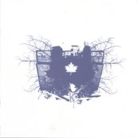 Maple - The Daily Charm