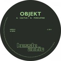 Objekt - Cactus / Porcupine