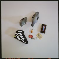 YL - Don't Feed the Pigeons