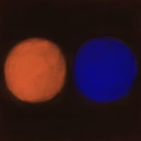 Renao - A SPACE BETWEEN ORANGE & BLUE