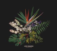 La Garfield - Love Para&iacute;so