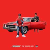 Termanology - The Summer Pack