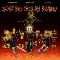 Marshmello, Tropkillaz & MC Delux - Solteiro Sou Um Perigo