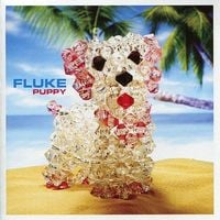 Fluke - Puppy