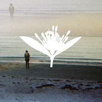 Copeland - Ixora Twin