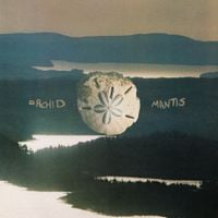 Orchid Mantis - Holograph Tapes Vol. 1