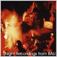 Various Artists - Night Recordings From BALI