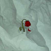 HALES - Petty Love