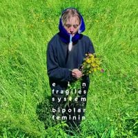 Bipolar Feminin - Ein fragiles System