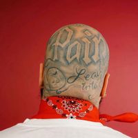 OTL Beezy - pain