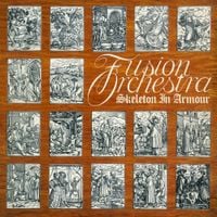Fusion Orchestra - Skeleton in Armour