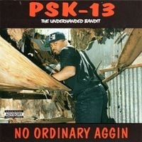 PSK-13 - No Ordinary Aggin