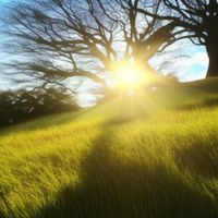 alonelyness - Rise and Shine