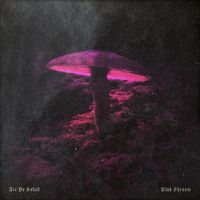 Arc De Soleil - Pink Shroom