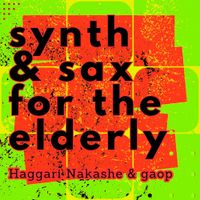 Haggari Nakashe & Gaop - Synth & Sax for the Elderly