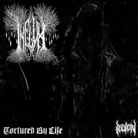 Influx - Tortured by Life