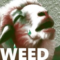 Weed Cowboy - Ego Death Throes