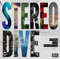 Stereo Dive Foundation - STEREO DIVE