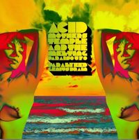 Acid Mothers Temple & the Melting Paraiso U.F.O. - Paralyzed Genius Brain