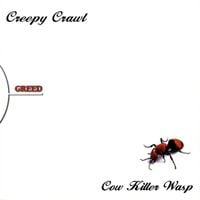 Creepy Crawl - Cow Killer Wasp