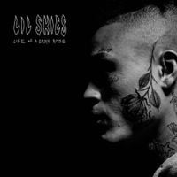 Lil Skies - Welcome to the Rodeo