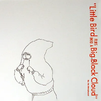 The Microphones - Little Bird Flies into a Big Black Cloud