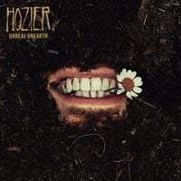Hozier - Unknown / Nth