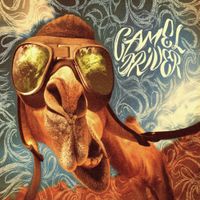 Camel Driver - Camel Driver
