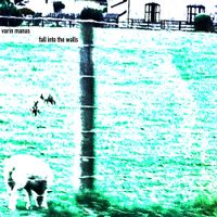 VDM - Fall Into the Walls