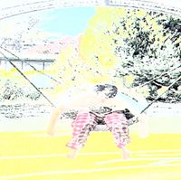 David Shawty - hypnoslide 2012 shadow swingset