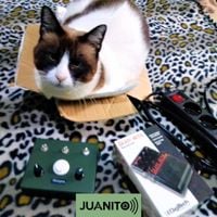 JUANITO))) - Cat Moves Over My Gear